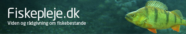 Fiskepleje - Logo